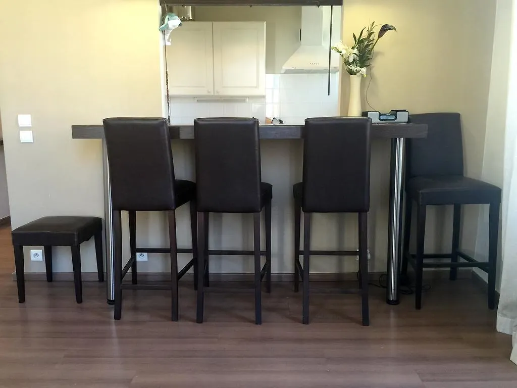 Le Cerf Apartment Cannes France